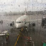 airport, terminal, plane, nature, rain